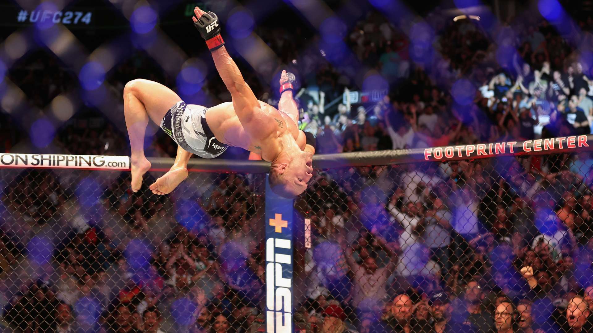 沈氏姐妹花 沈氏姐妹花